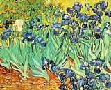 Vincent van Gogh - Irises painting